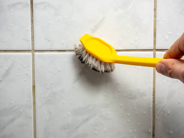 Best Mold Testing  in Country Lake Estates, NJ