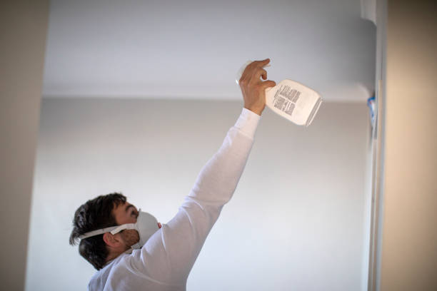 Best Commercial Mold Removal  in Country Lake Estates, NJ