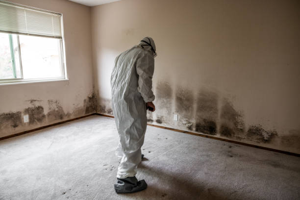 Best Residential Mold Removal  in Country Lake Estates, NJ